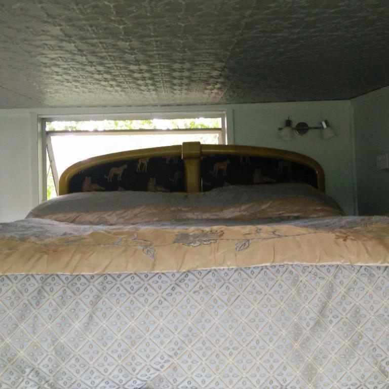 Starry Nights Cabin Fever Waikino Bilik gambar
