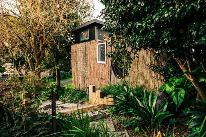 Starry Nights Cabin Fever Waikino Luaran gambar