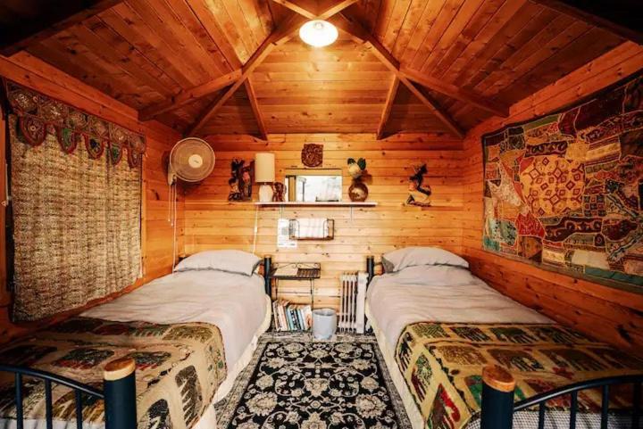 Starry Nights Cabin Fever Waikino Bilik gambar